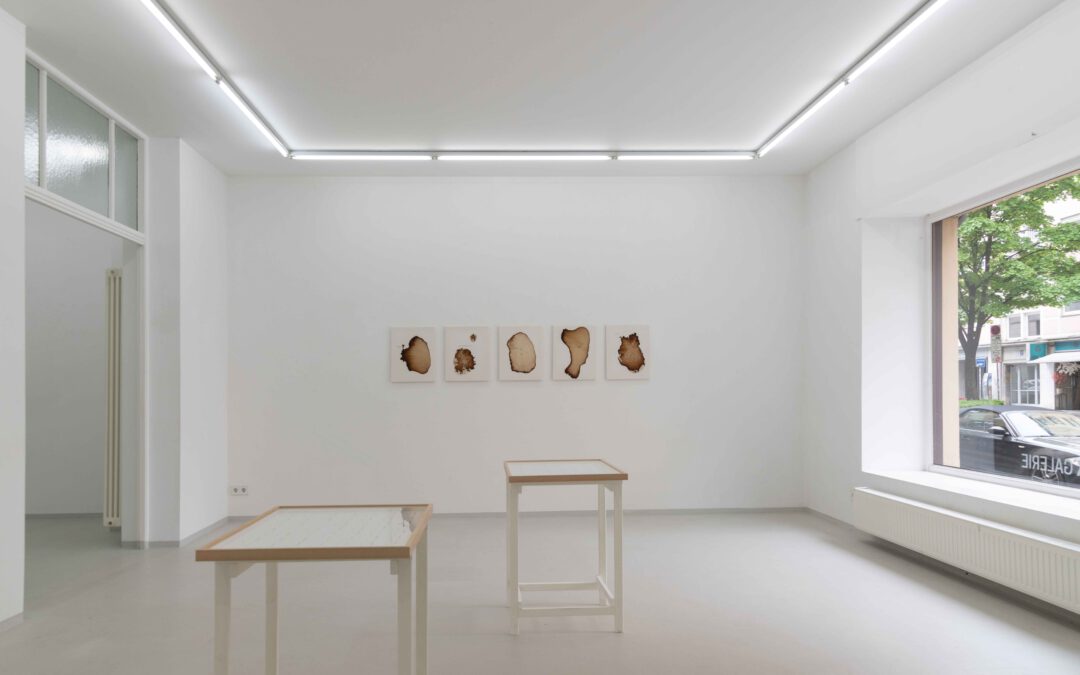 ARTNEWS »Punkt und Linie« HAYATO MIZUTANI | MIRIAM SALAMANDER | 8.–17.5.2025 |