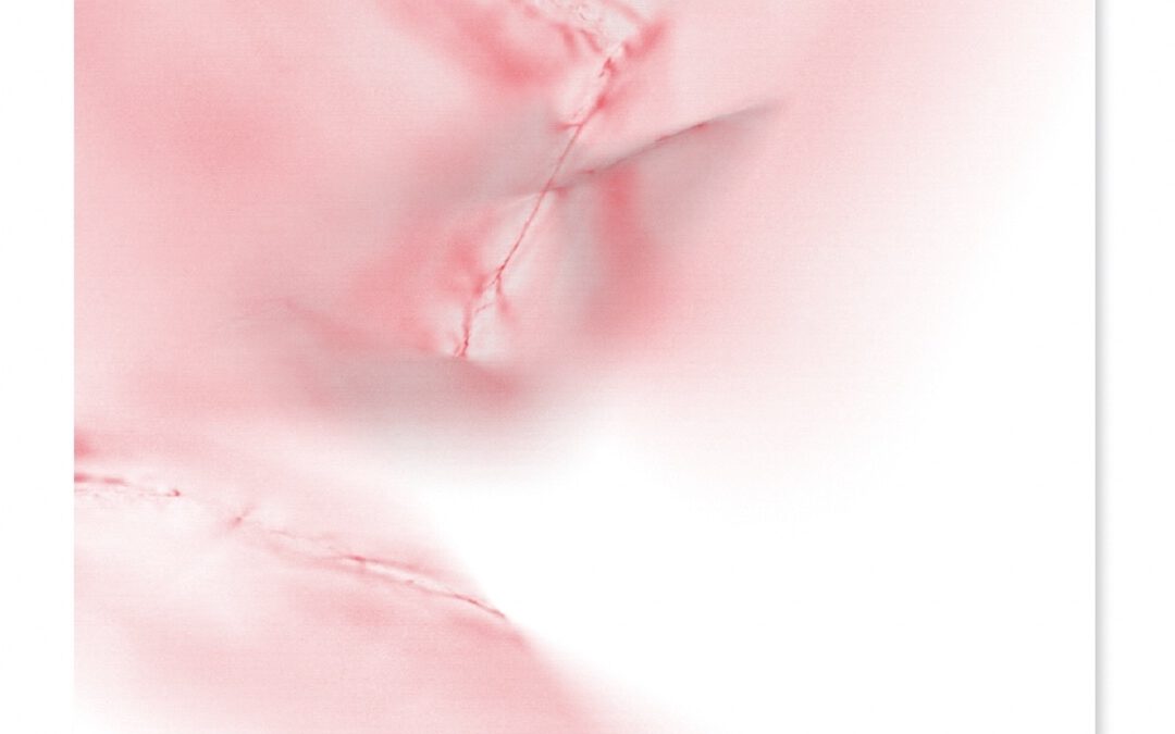 FLORIAN LECHNER | 12.3.–28.3.2026 | Rauminszenierung in Kooperation mit »studio gallant gestaltet _«